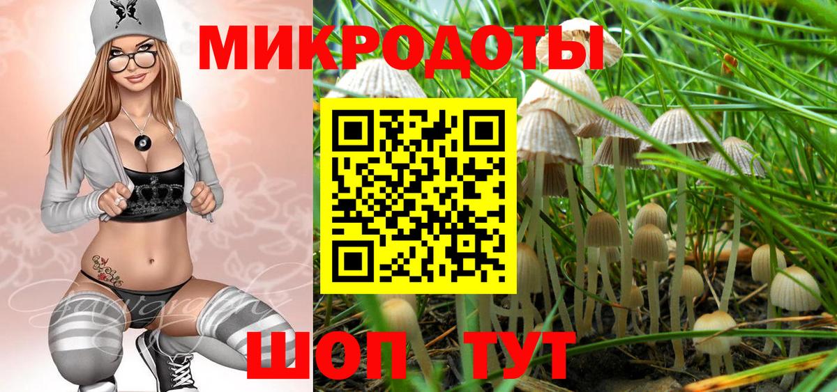 Галлюциногенные грибы Psilocybe  Вход с VPN  Железногорск  Галлюциногенные грибы GOLDEN TEACHER 