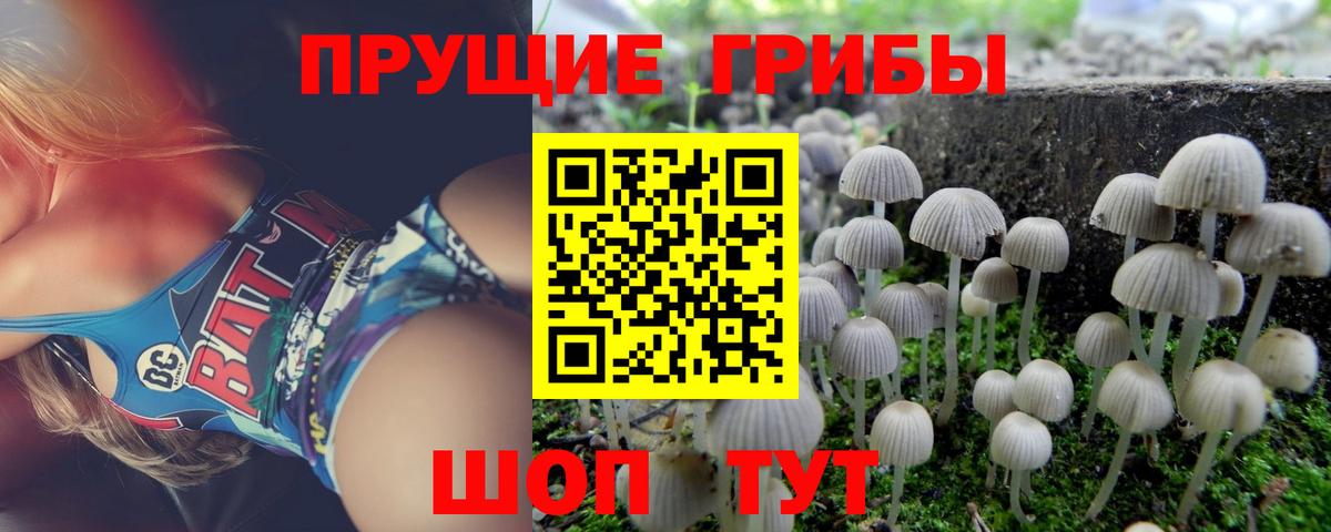 Галлюциногенные грибы MAGIC MUSHROOMS Железногорск